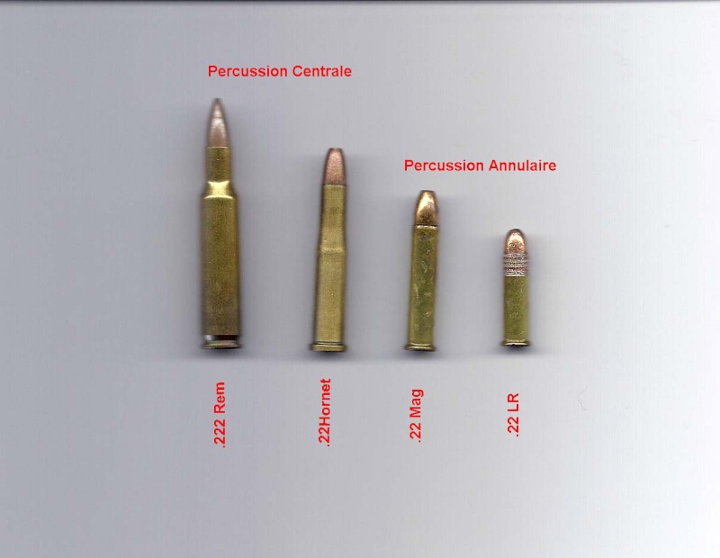 22-hornet-vs-22-mag