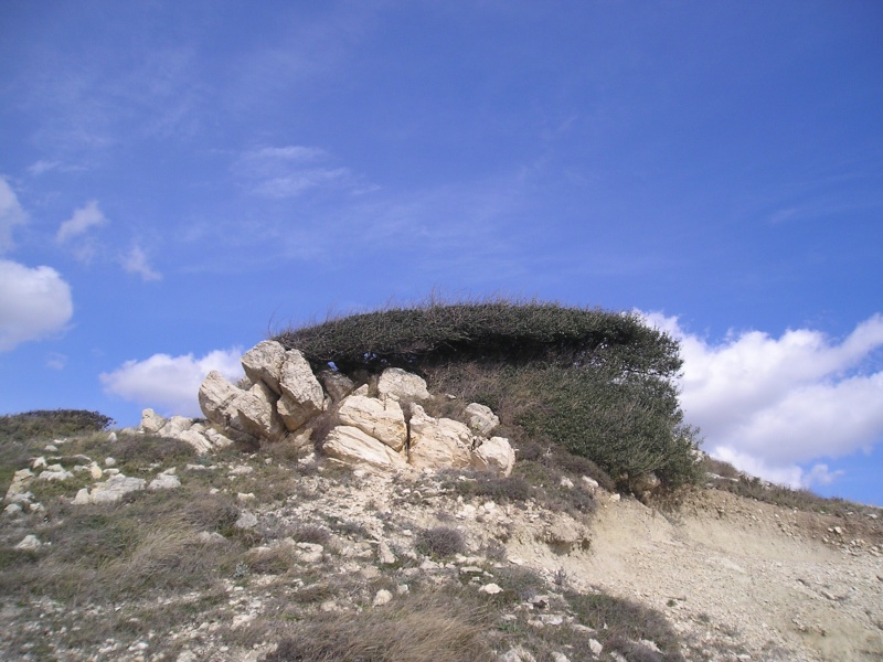 p1010010.jpg