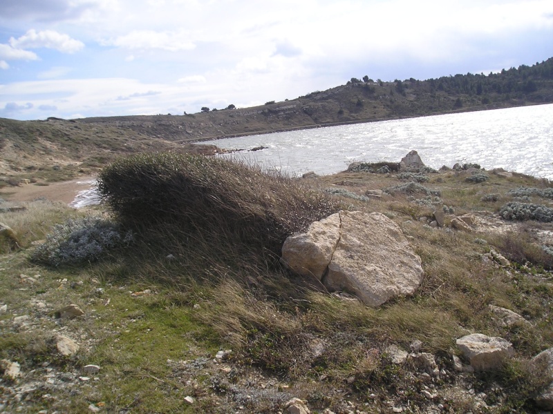 p1010011.jpg