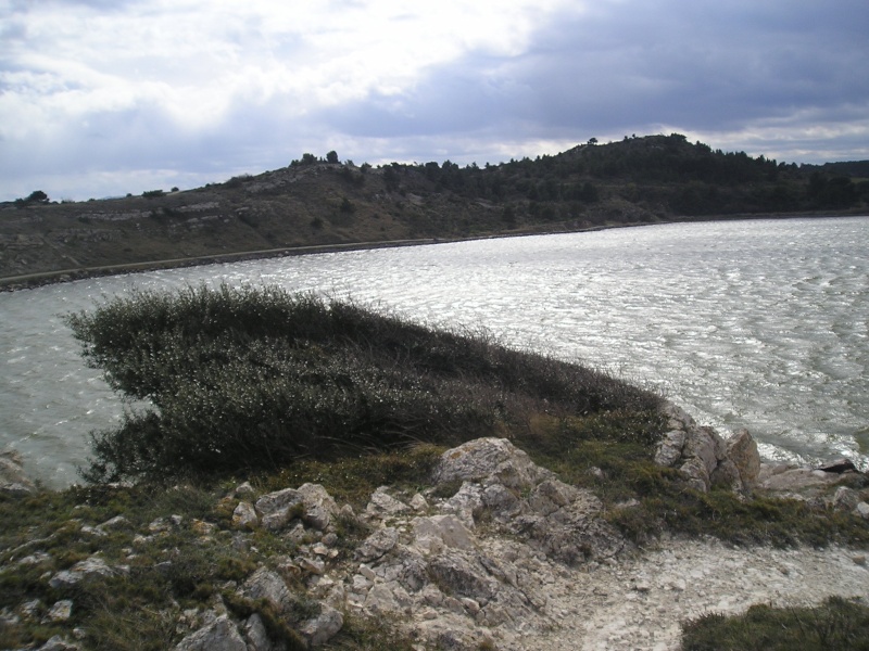 p1010012.jpg