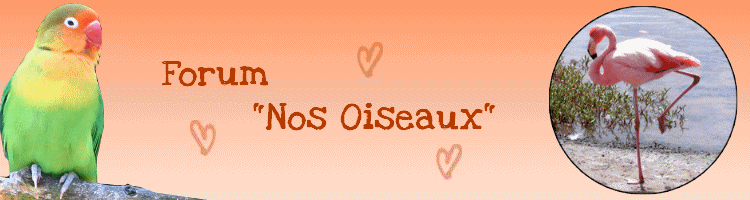 Nos Oiseaux
