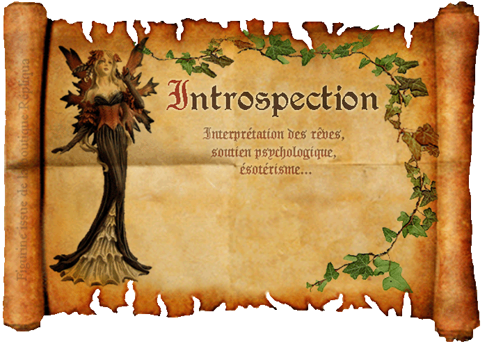 Introspection