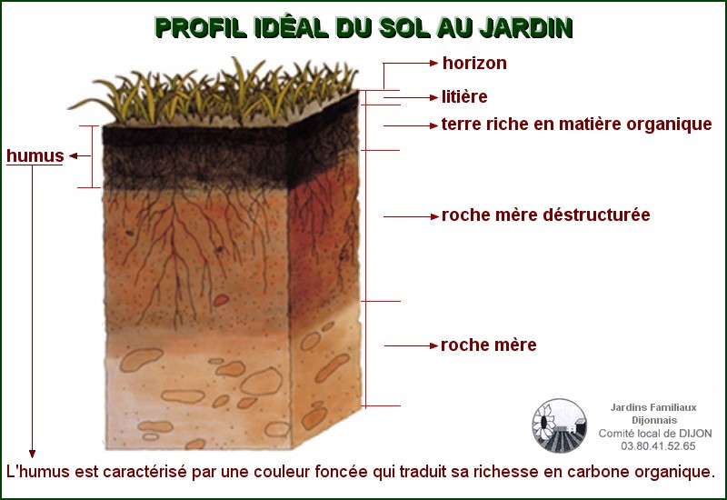 Le Sol Est Un écosystème Complet Et Vivant Jardin Potager Au Naturel 2624