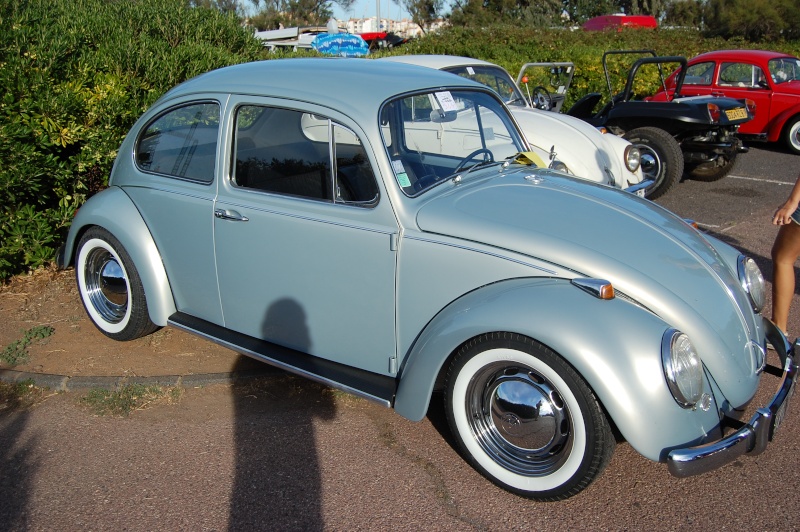 dsc_0545.jpg