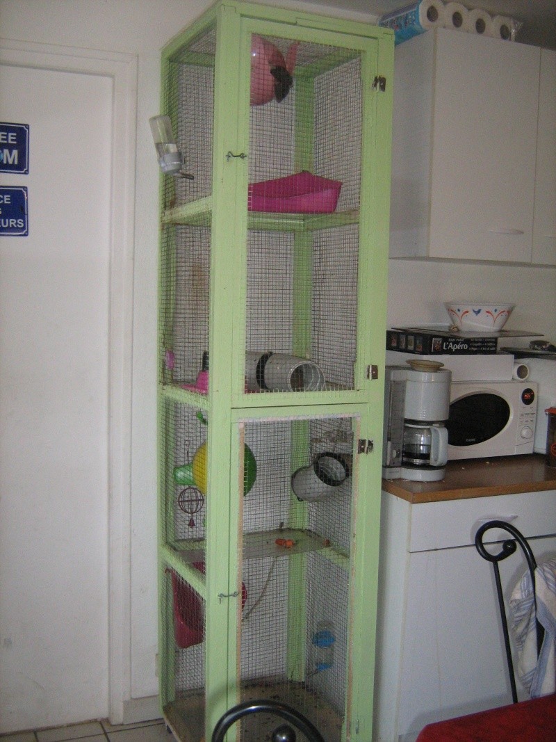 cage11.jpg